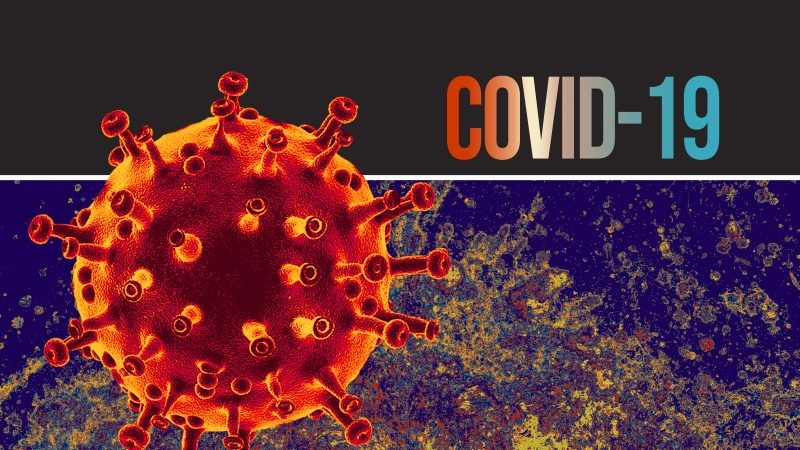 Studiu COVID-19: anticorpii Coronavirus rezistă cel puțin șase luni după infecție