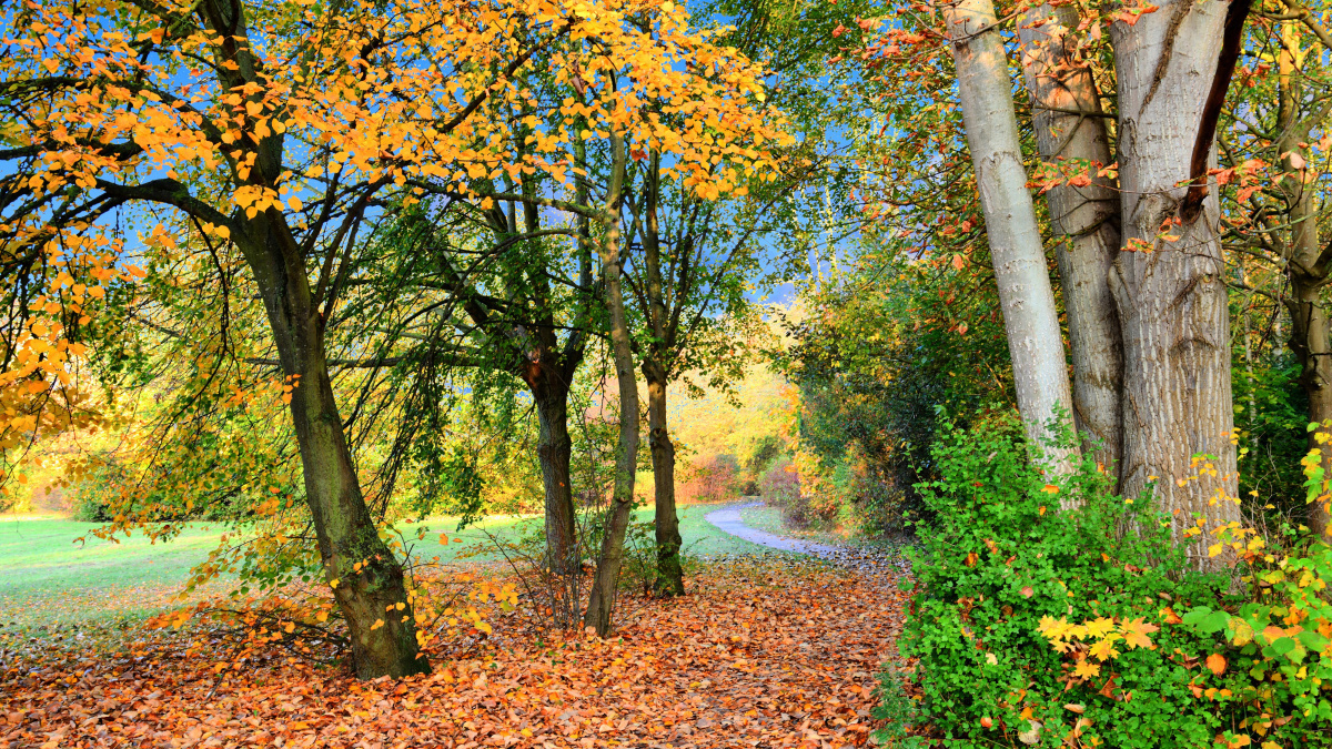 Temperaturile din Londra vor crește semnificativ în acest weekend