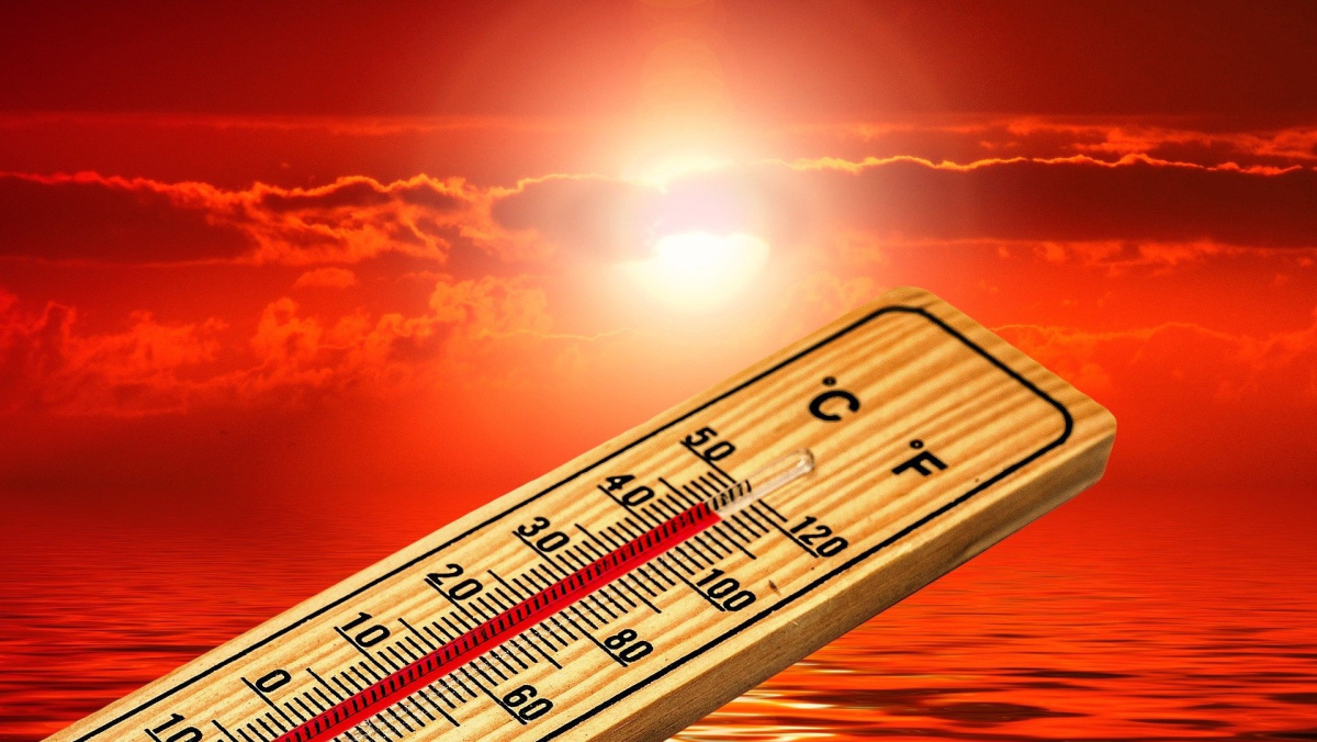 Londra fierbe la 35°C