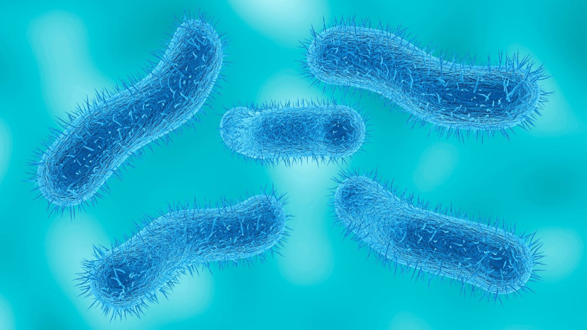 UK în alertă! O boală diareică severă devine rezistentă la antibiotic