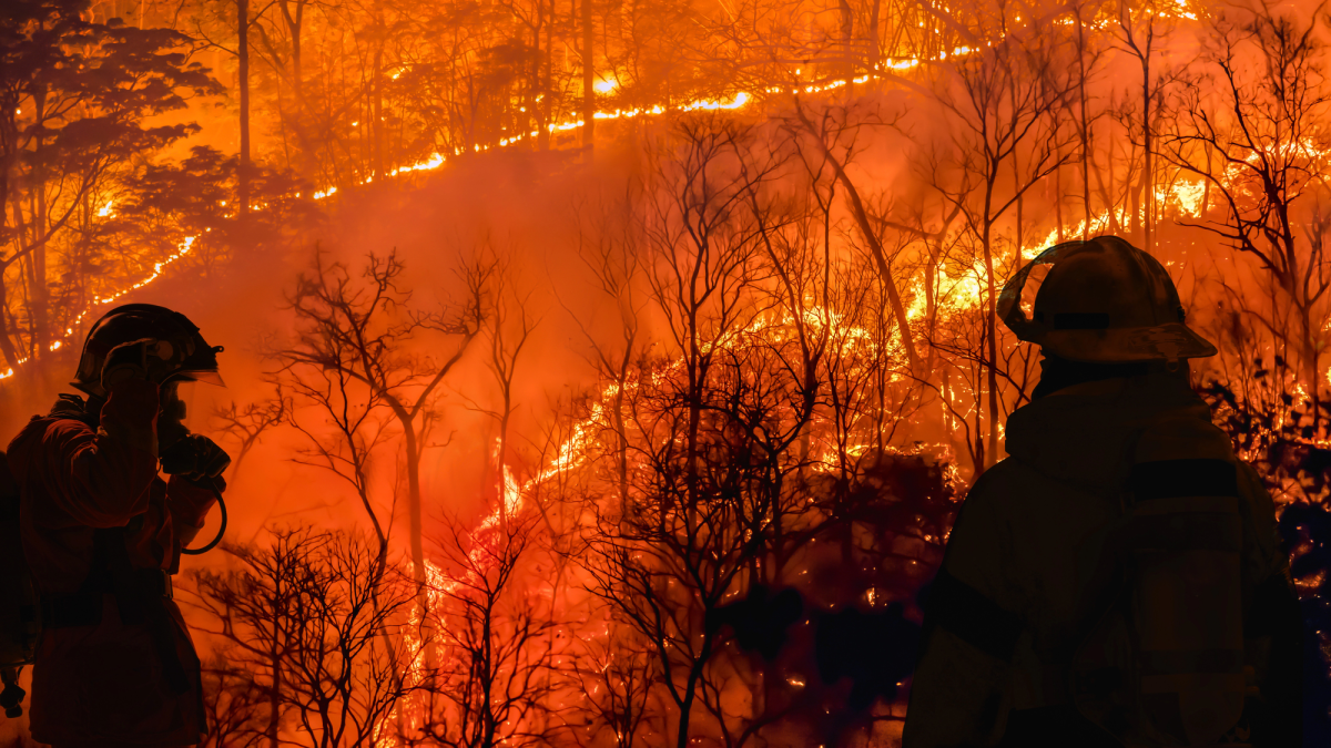Londra în alertă de incendii