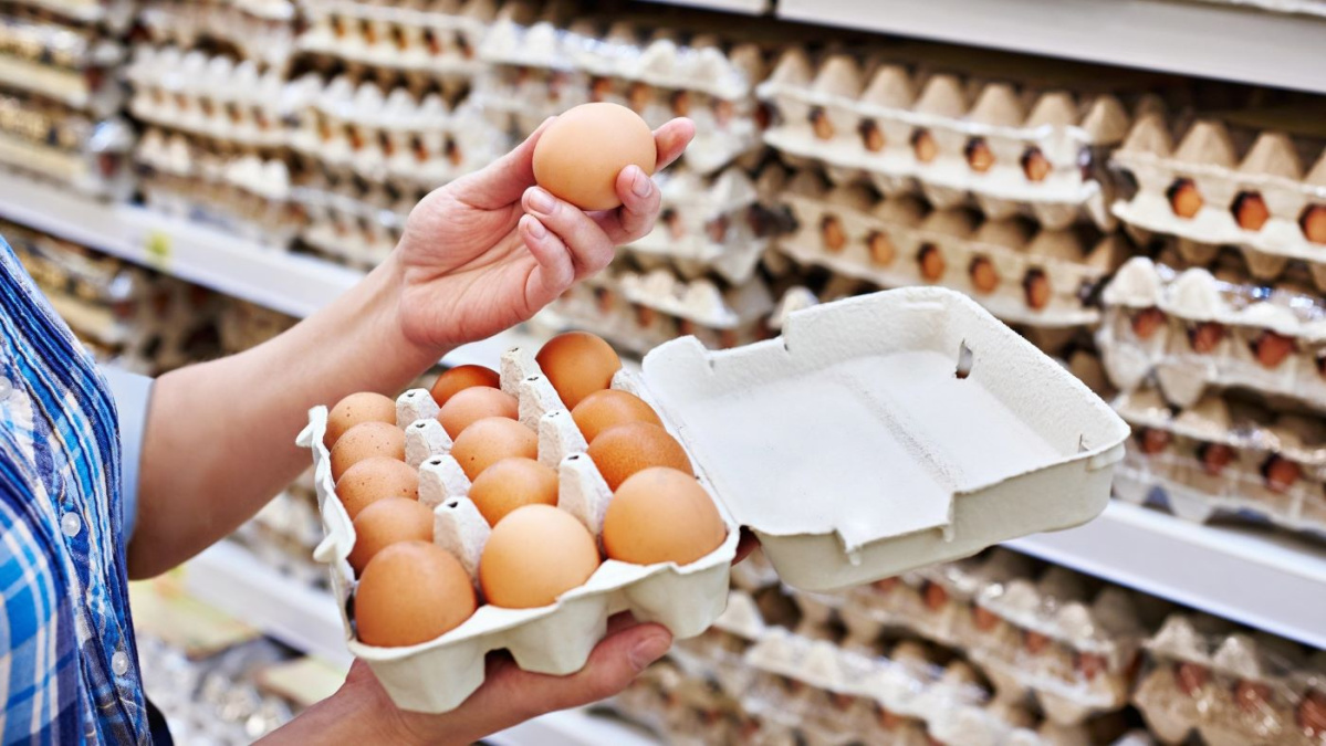 De unde provin ouăle depistate cu salmonella în Marea Britanie?